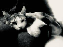 Yann ETIENNE - YANN ETIENNE PHOTOGRAPHE