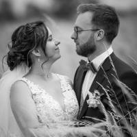 Nicolas BRUNEL - BRUNEL